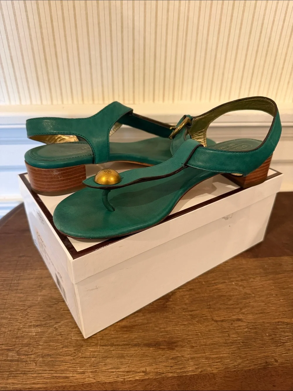 Coach Teal Leather Thong Sandals with Gold Accent and Low Stacked Heel